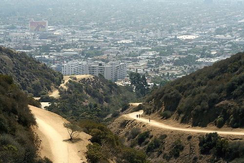 a dirt road going through the middle of a valley with trees on both sides and buildings in the background