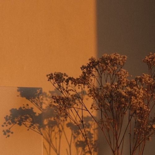 a vase filled with flowers sitting next to a wall