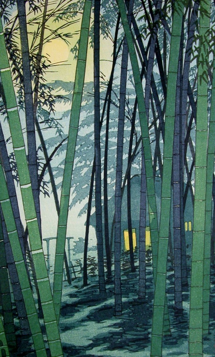 an image of bamboo trees in the forest