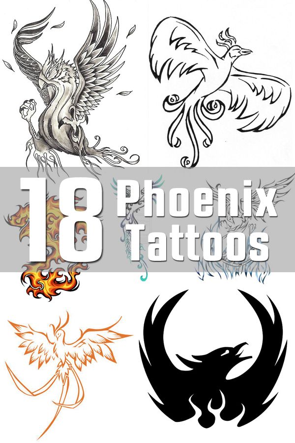 18 Phoenix Tattoo Designs | The Body is a Canvas Phinox Tattoo Phoenix Rising, Phoenix Rising From Ashes Tattoo Men, Burning Phoenix Tattoo, Phoenix Tattoo Feminine The Ashes, Phoenix Rising From Ashes Tattoo Women, Phoenix Rising From Ashes Tattoo, Phoenix Tattoo Men, Phoenix Tattoo For Men, Rising Phoenix Tattoo