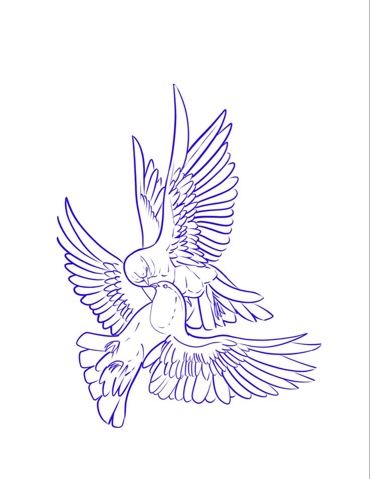 a drawing of a bird flying with its wings spread out and it's beak open