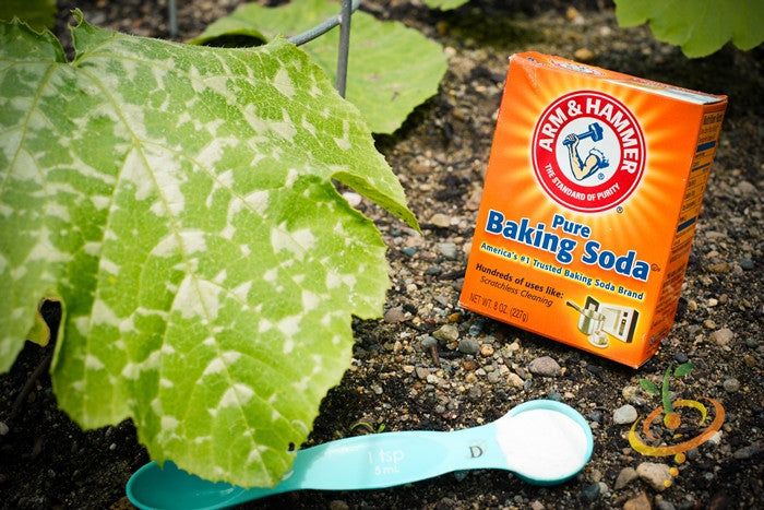 a blue toothbrush sitting next to a box of baking soda and a green leaf