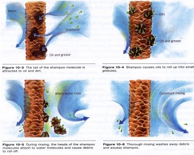 Understanding Shampoo & It's relevence to the pH scale... This explains everything about shampoo and it's natural reaction with your hair. Ph Scale, Strands Hair, Porous Hair, Color Knowledge, Shampoo Reviews, Hair Clinic, Cosmetology School, Skin Disorders, Assignment Help