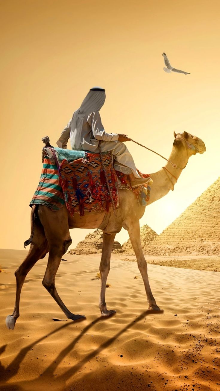 a man riding on the back of a camel