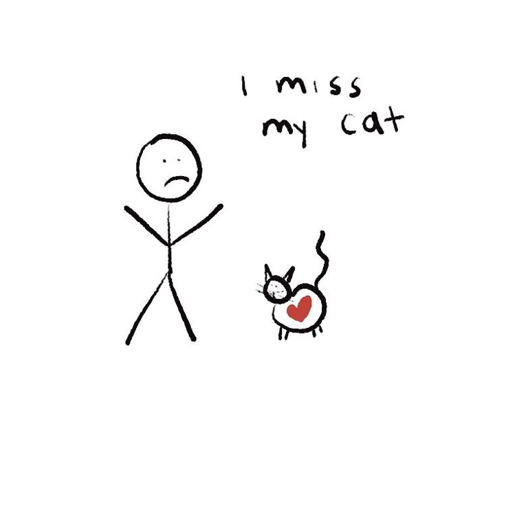 a drawing of a person and a cat with the caption i miss my cat