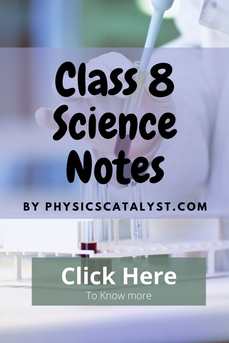 the words class 8 science notes written in black on a white background with test tubes