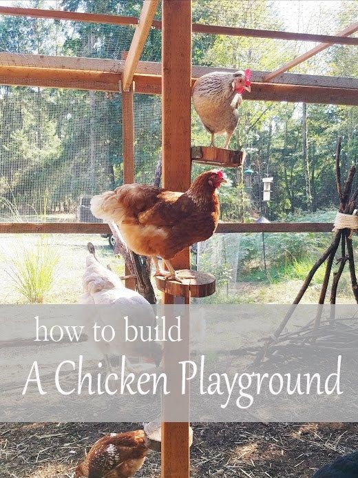 chickens in a chicken coop with the words how to build a chicken playground