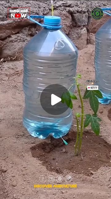 two large water bottles sitting next to each other on top of dirt and grass covered ground