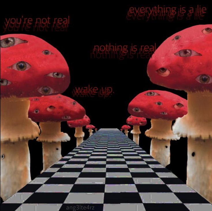 there are many red mushrooms on this black and white checkerboard tablecloth with the words you're not real everything is real