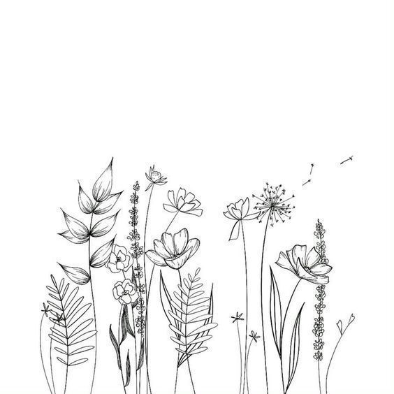 a line drawing of flowers and plants on a white background