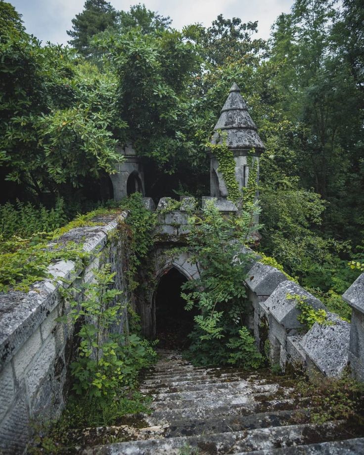 an old stone bridge surrounded by trees and ivy growing on the sides, with stairs leading up to it