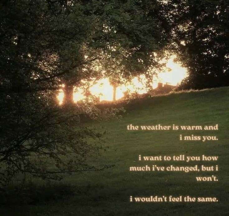 the sun is setting behind some trees with a poem written on it that reads, i wouldn't test the same