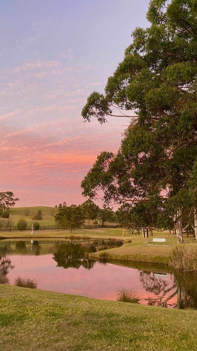 a bench sitting on the side of a lush green field next to a lake at sunset