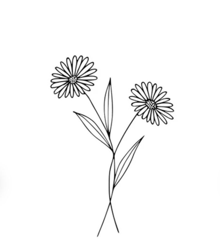 two daisies on a white background, one is black and the other is white