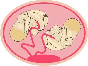 an image of two babies in a pink circle