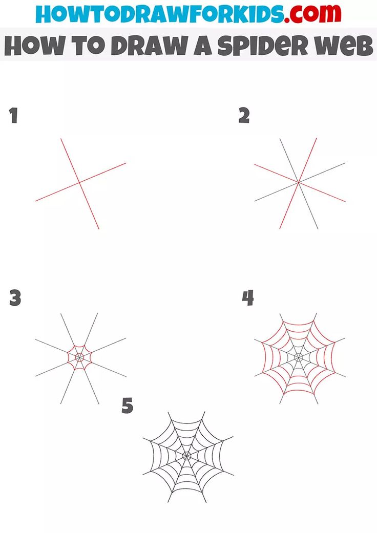 how to draw spider web for kids