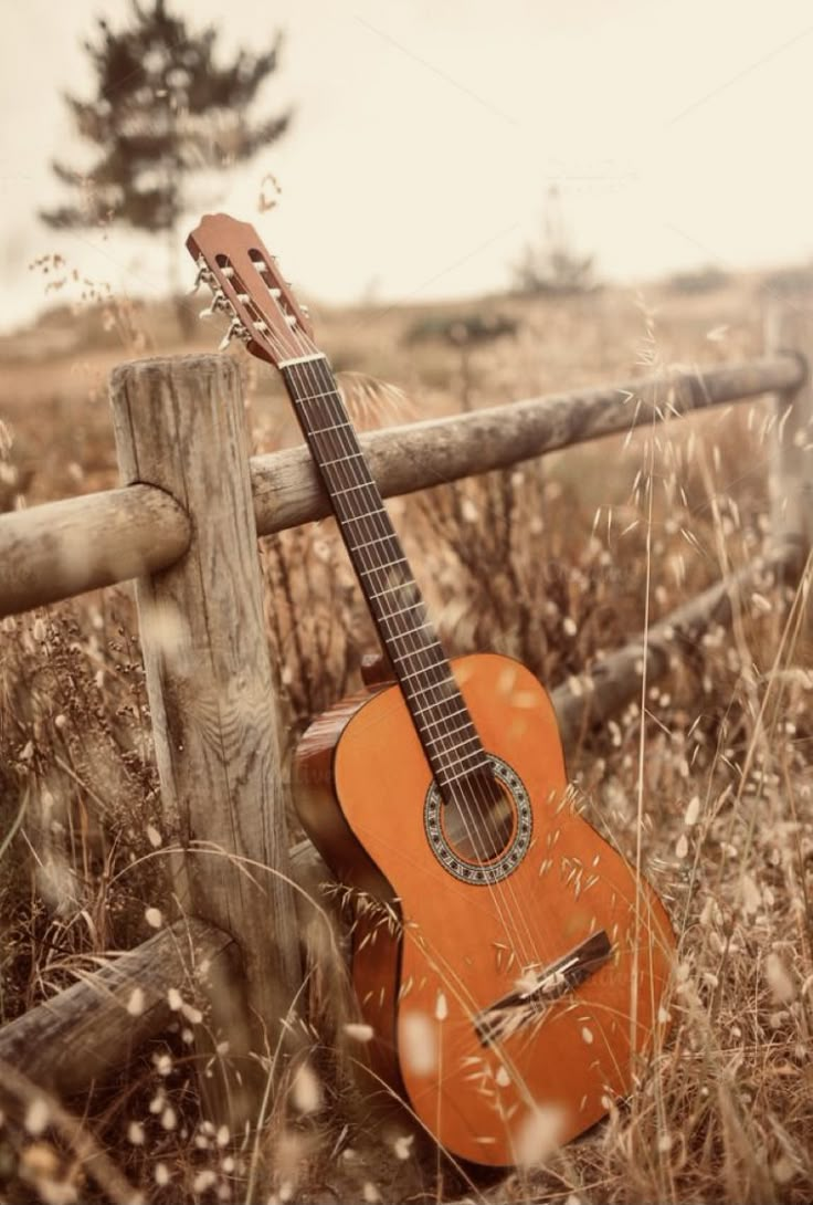 an orange guitar sitting on the ground next to a wooden fence in tall grass and weeds