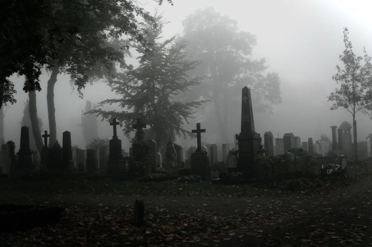 foggy graveyard with headstones and trees in the foreground on a gloomy day