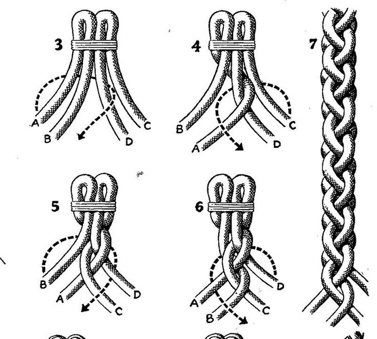 instructions for how to tie an octopus's tail, vintage line drawing or engraving