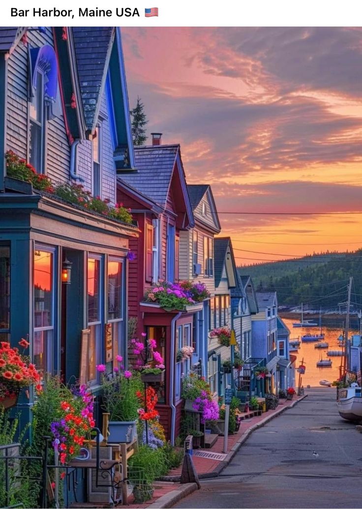 a row of houses on the side of a road with flowers growing out of them