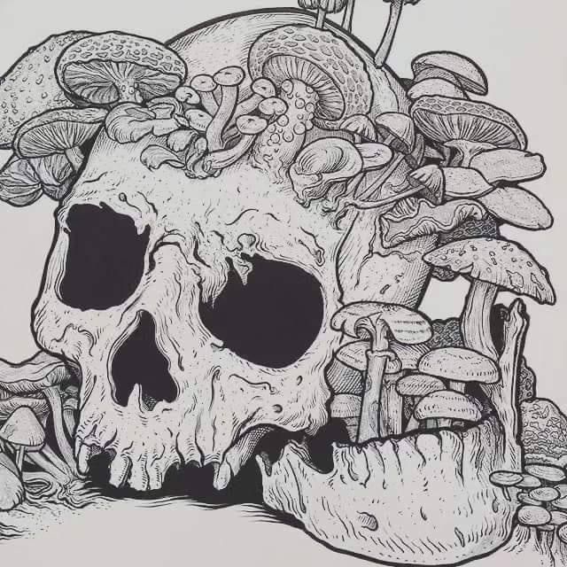 a drawing of a skull with mushrooms on it