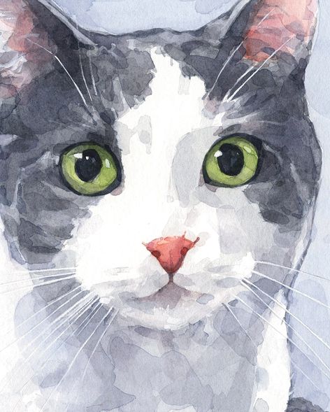 a watercolor painting of a grey and white cat's face with green eyes