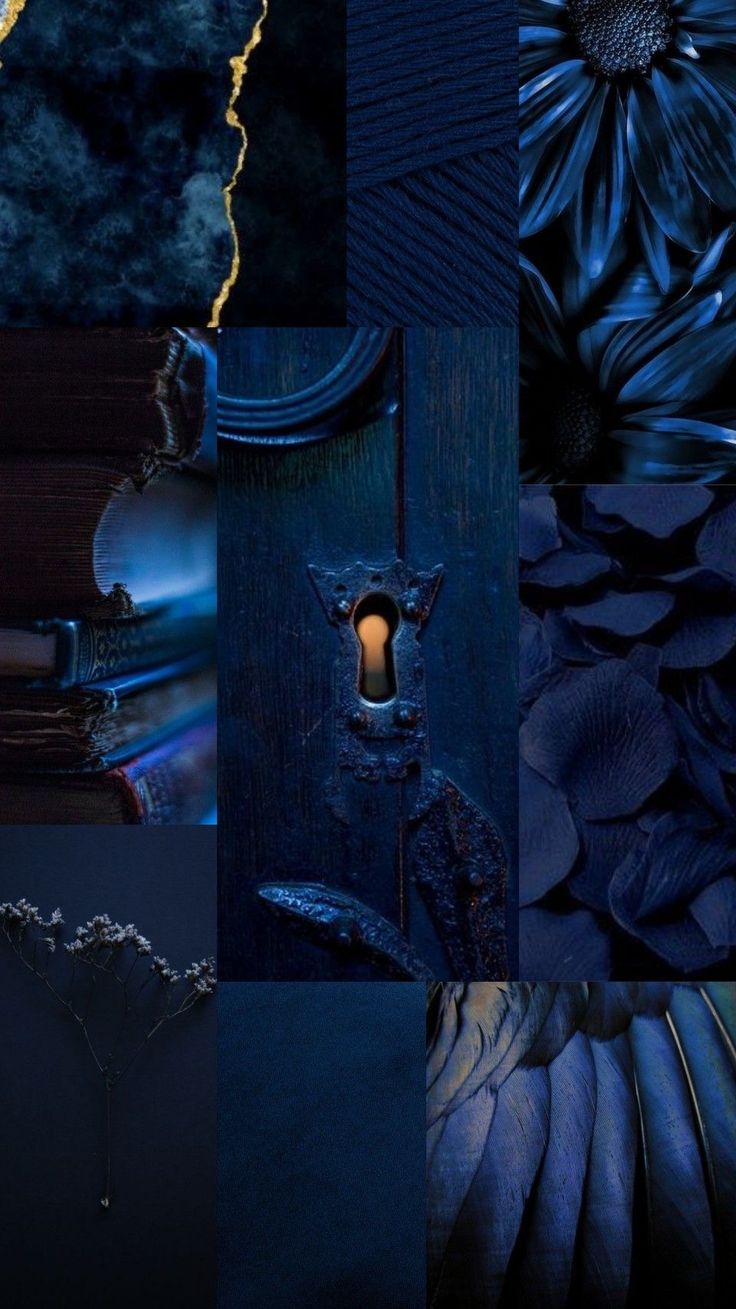 a collage of images with flowers, feathers and other things in the dark blue background