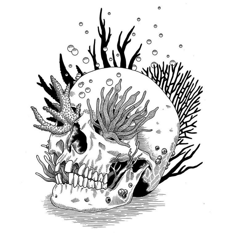 a black and white drawing of a skull with seaweeds on it's head