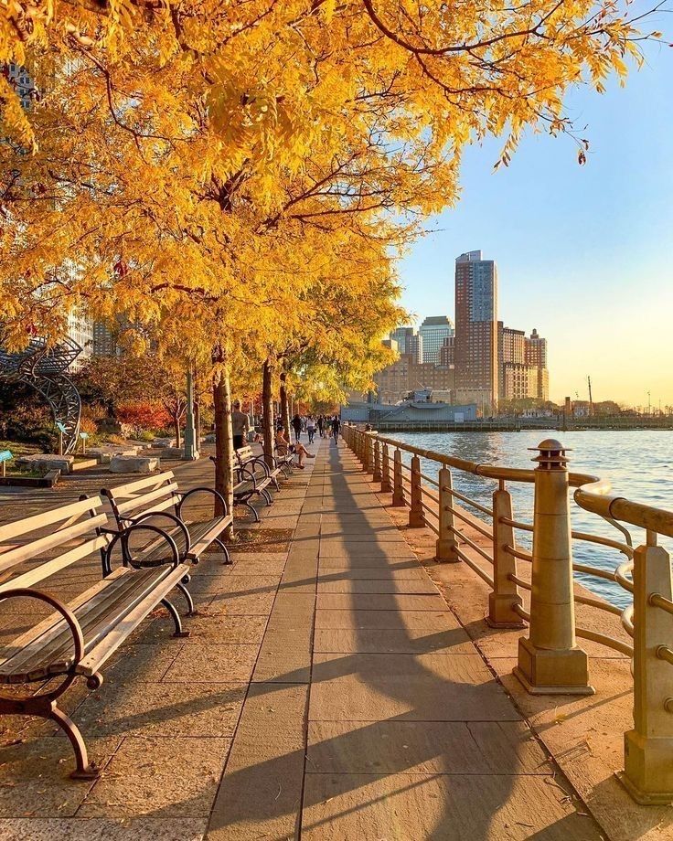 a row of benches sitting next to a body of water