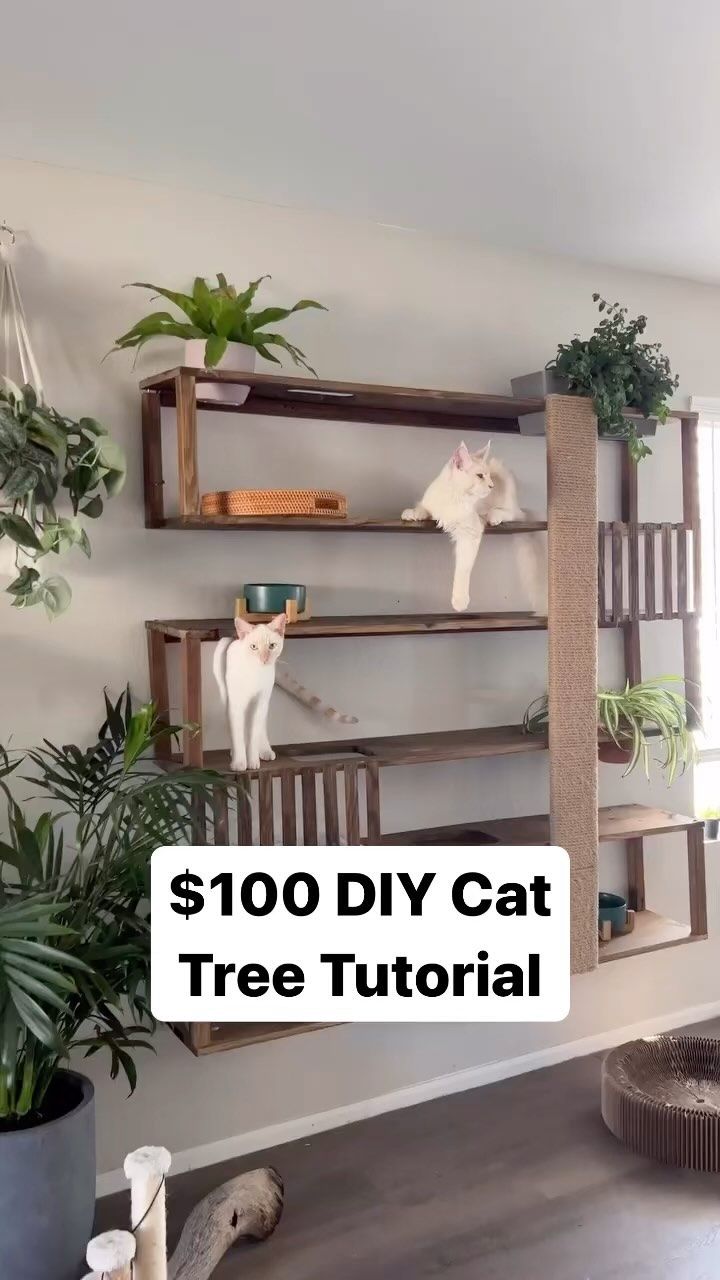 a cat tree with two cats sitting on top of it and the words $ 100 diy cat tree tutorial