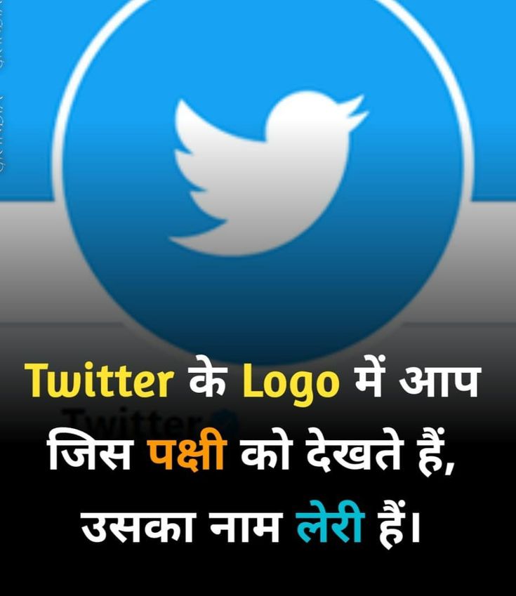 the twitter logo is displayed in an image with words on it, and there are two different