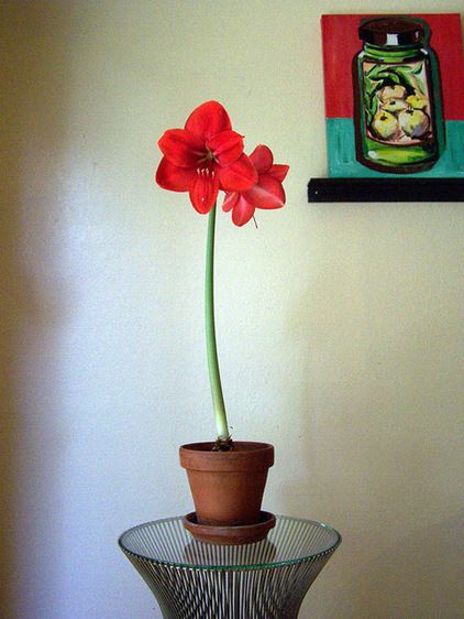 a red flower sitting on top of a glass table next to a vase filled with flowers