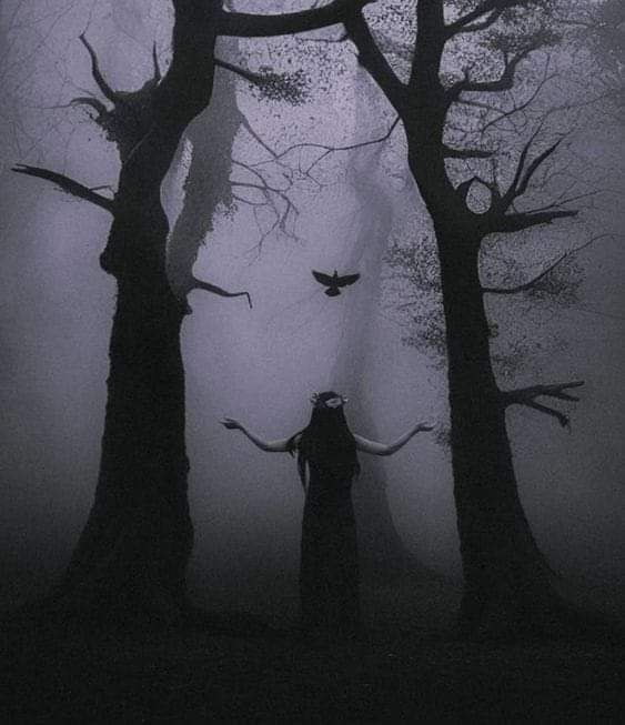 a person standing in the fog between two trees