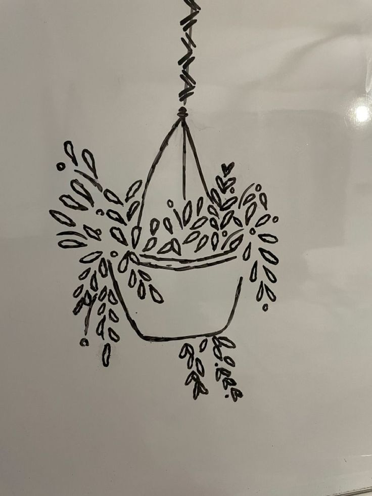 plant aesthetic drawing whiteboard life doodle tiktok nature decor Easy White Board Drawings Simple, Dry Erase Board Aesthetic, White Board Aesthetic School, Decorating Whiteboards Ideas, Ideas To Draw On Whiteboard, Drawing On A White Board, White Board Aesthetic Ideas, Calender White Board Aesthetic, Class Aesthetic Decoration