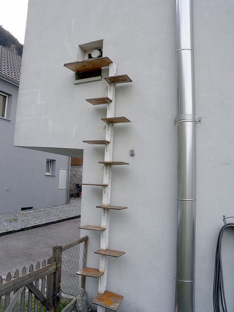 a white building with some shelves on the side and a metal pole in front of it