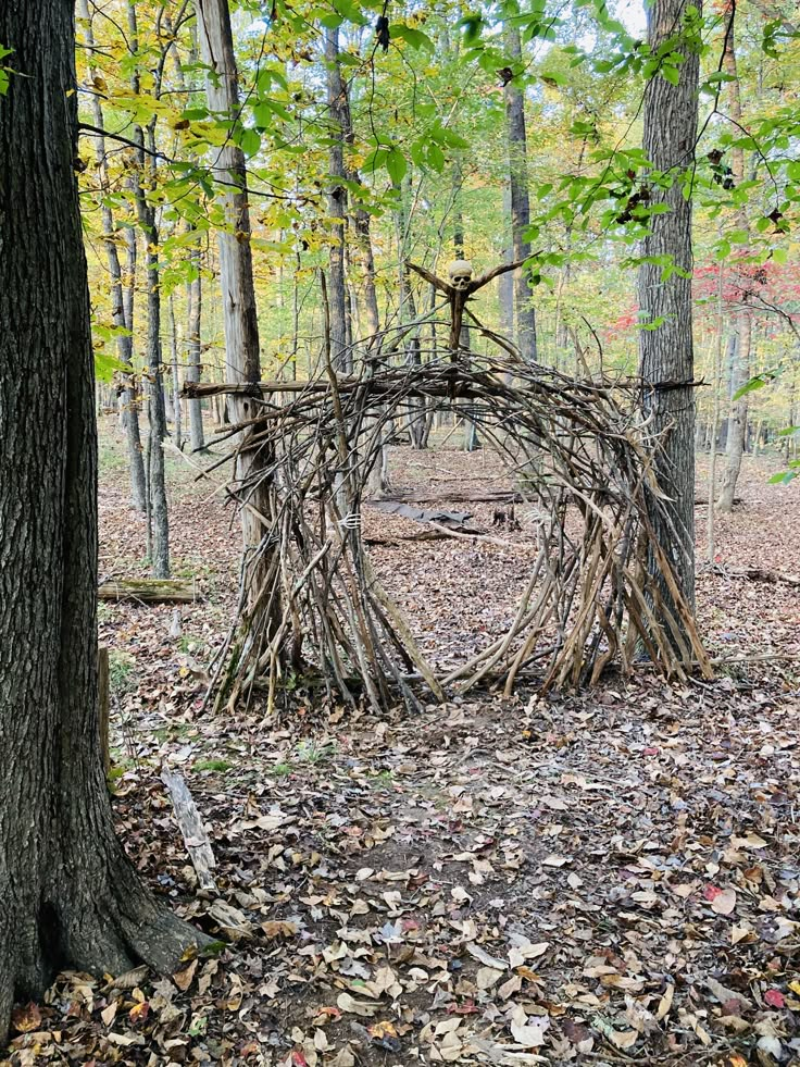 an arch made out of branches in the woods with leaves on the ground next to it