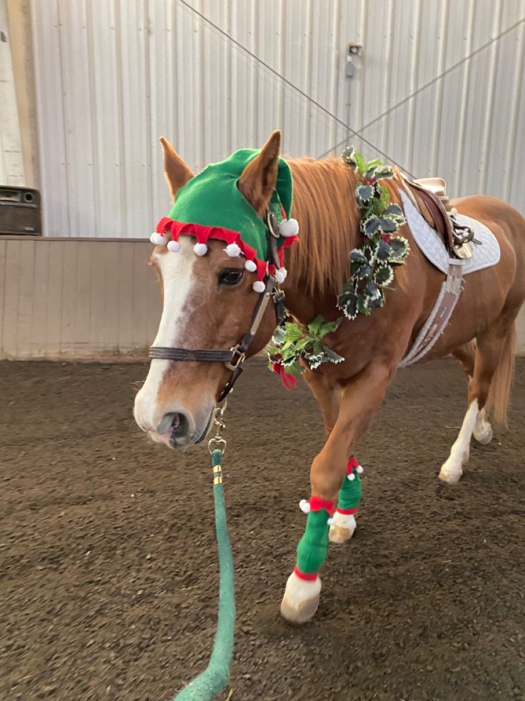 a brown horse wearing a green hat and christmas decorations on it's head walking in an indoor arena