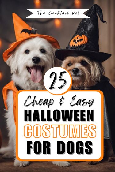 two dogs dressed up in halloween costumes with text overlay that reads, 19 cheap and easy halloween costumes for dogs