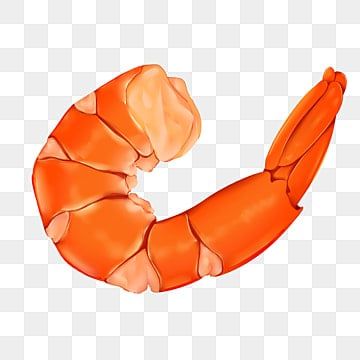 an orange shrimp on a white background, with no image or text in the bottom corner