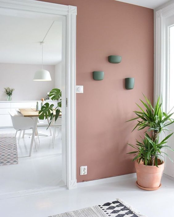 a living room with pink walls and potted plant on the floor next to it