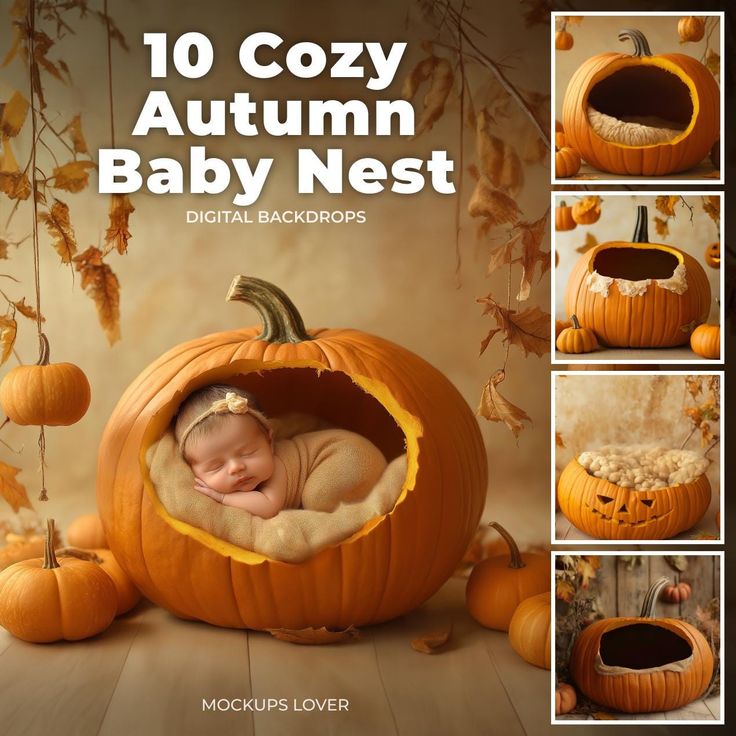 a baby in a pumpkin shaped nest surrounded by pumpkins with the words, 10 cozy autumn baby nest digital backgrounds