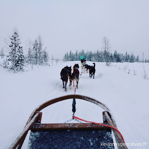 two dogs pulling a sled in the snow with people on it's back