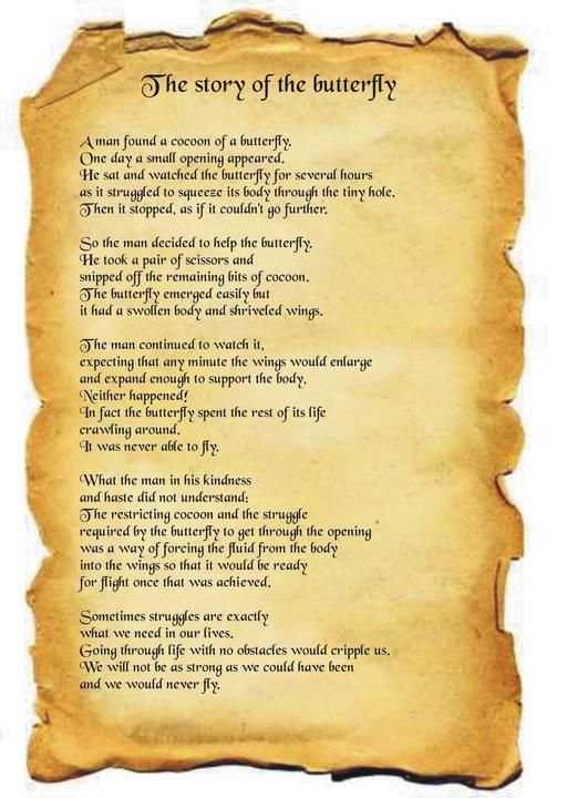 the story of the butterfly poem on parchment paper with an old - fashioned writing style