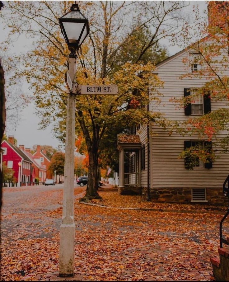 an old fashioned street sign in front of a house with autumn leaves on the ground