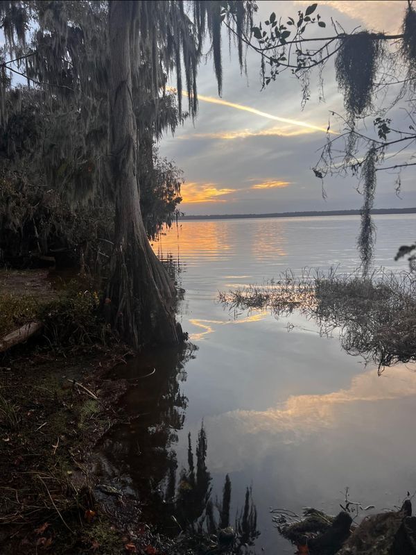 the sun is setting over the water and trees are in the foreground, with clouds reflected in the water