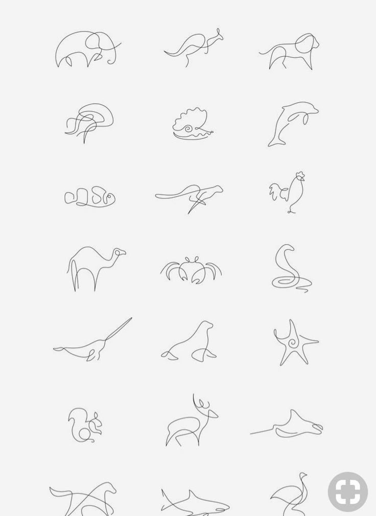 the different types of animals are shown in this drawing lesson, which shows how to draw them