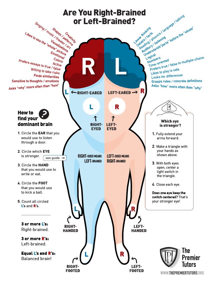 the right and left brain are you right - handed or left - handed? info