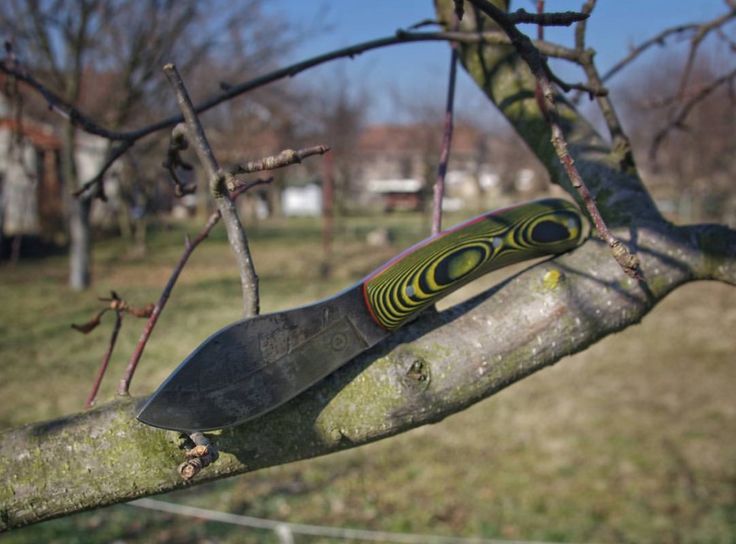 a pair of scissors sitting on top of a tree branch next to a house in the background