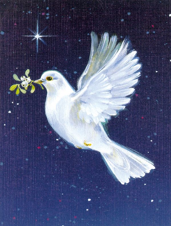 a painting of a white dove flying in the night sky with an olive branch in its beak