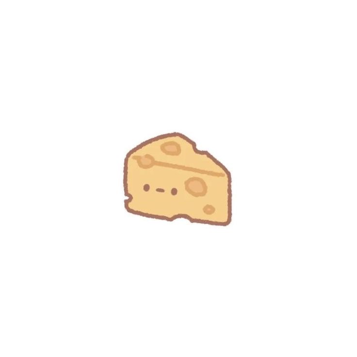 a piece of cheese on a white background